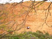 Galer�a en Las M�dulas. Ponferrada, Le�n